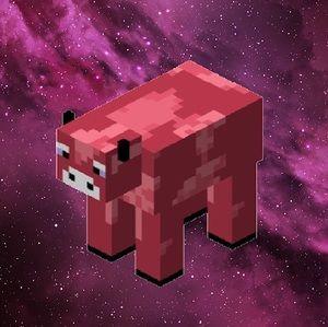 Meet your Posher, Haleigh